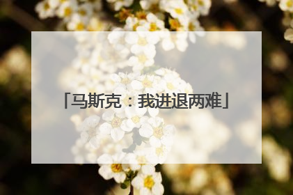马斯克：我进退两难