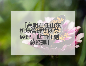 高明君任山东机场管理集团总经理，此前任副总经理