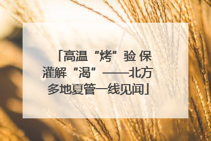 高温“烤”验 保灌解“渴”——北方多地夏管一线见闻