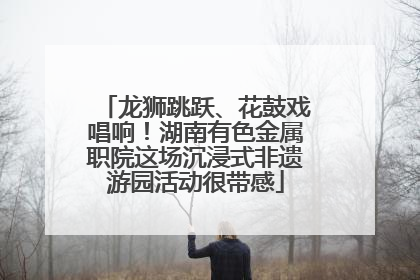 龙狮跳跃、花鼓戏唱响!湖南有色金属职院这场沉浸式非遗游园活动很带感