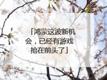 鸿蒙这波新机会，已经有游戏抢在前头了