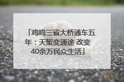 鸡鸣三省大桥通车五年：天堑变通途 改变40余万民众生活