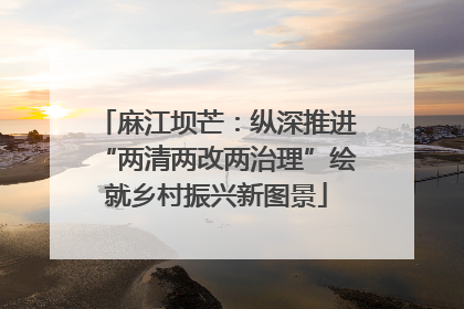麻江坝芒：纵深推进“两清两改两治理”绘就乡村振兴新图景