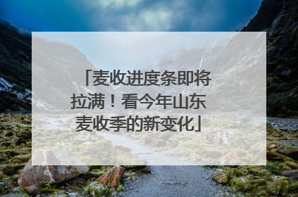 麦收进度条即将拉满！看今年山东麦收季的新变化