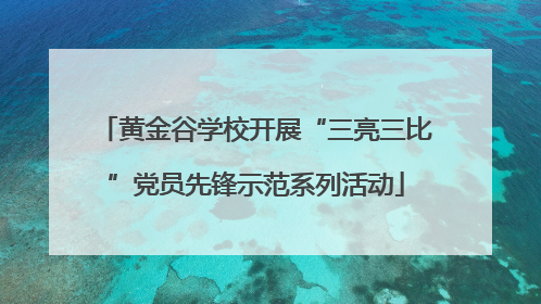 黄金谷学校开展“三亮三比”党员先锋示范系列活动