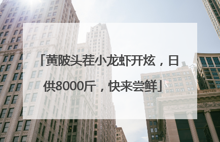 黄陂头茬小龙虾开炫，日供8000斤，快来尝鲜