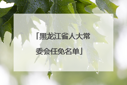 黑龙江省人大常委会任免名单
