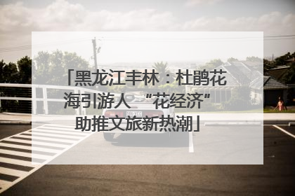 黑龙江丰林：杜鹃花海引游人 “花经济”助推文旅新热潮