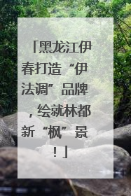 黑龙江伊春打造“伊法调”品牌，绘就林都新“枫”景！