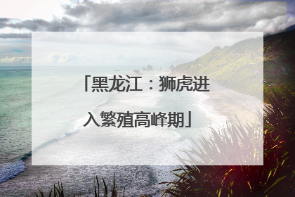 黑龙江：狮虎进入繁殖高峰期