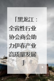 黑龙江：全省性行业协会商会助力伊春产业高质量发展
