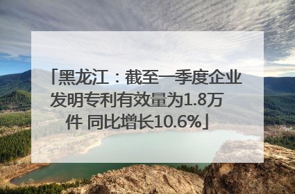 黑龙江：截至一季度企业发明专利有效量为1.8万件 同比增长10.6%
