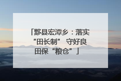 黟县宏潭乡：落实“田长制” 守好良田保“粮仓”