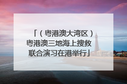 （粤港澳大湾区）粤港澳三地海上搜救联合演习在港举行