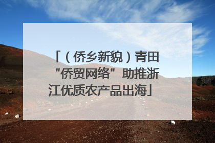（侨乡新貌）青田“侨贸网络”助推浙江优质农产品出海