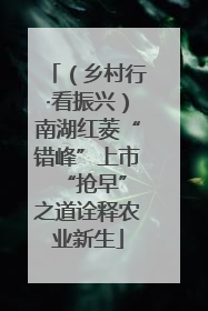 （乡村行·看振兴）南湖红菱“错峰”上市 “抢早”之道诠释农业新生