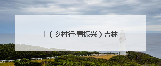 （乡村行·看振兴）吉林辉南荒山变“绿色银行” 绿水青山有“钱景”