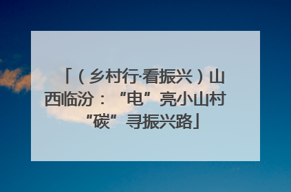 （乡村行·看振兴）山西临汾：“电”亮小山村 “碳”寻振兴路