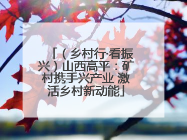 （乡村行·看振兴）山西高平：矿村携手兴产业 激活乡村新动能