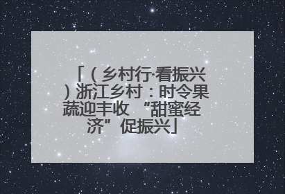 （乡村行·看振兴）浙江乡村：时令果蔬迎丰收 “甜蜜经济”促振兴