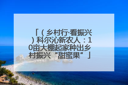 （乡村行·看振兴）科尔沁新农人：10亩大棚起家种出乡村振兴“甜蜜果”