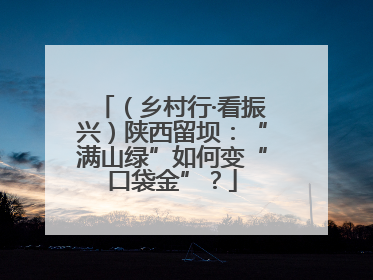 （乡村行·看振兴）陕西留坝：“满山绿”如何变“口袋金”？