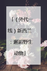 （外代一线）新西兰：邂逅野生动物