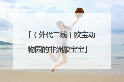 （外代二线）欧宝动物园的非洲象宝宝