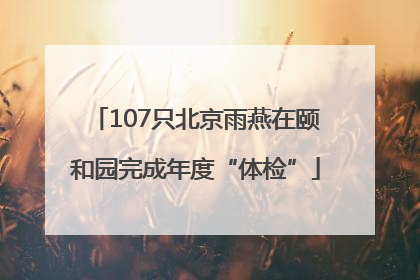 107只北京雨燕在颐和园完成年度“体检”