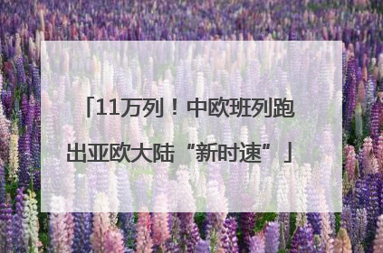 11万列！中欧班列跑出亚欧大陆“新时速”