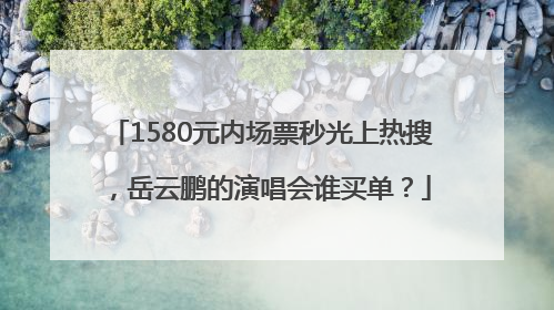 1580元内场票秒光上热搜，岳云鹏的演唱会谁买单？