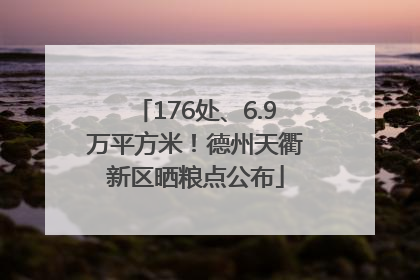 176处、6.9万平方米！德州天衢新区晒粮点公布