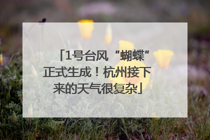 1号台风“蝴蝶”正式生成！杭州接下来的天气很复杂
