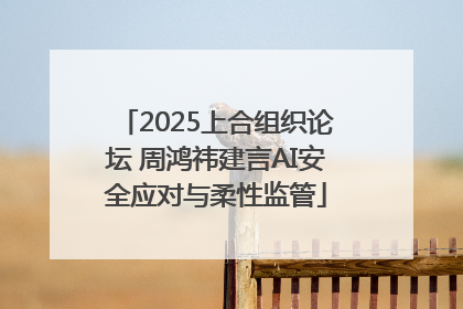 2025上合组织论坛 周鸿祎建言AI安全应对与柔性监管