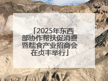 2025年东西部协作帮扶促消费暨糯食产业招商会在贞丰举行