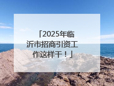 2025年临沂市招商引资工作这样干！