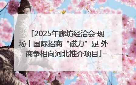 2025年廊坊经洽会·现场丨国际招商“磁力”足 外商争相向河北推介项目