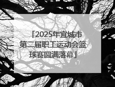 2025年宜城市第二届职工运动会篮球赛圆满落幕