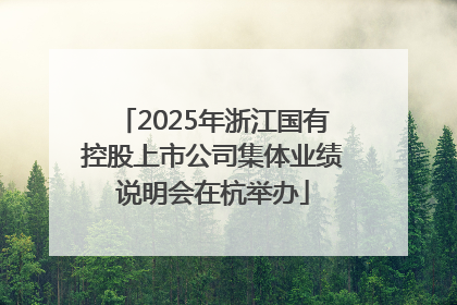 2025年浙江国有控股上市公司集体业绩说明会在杭举办