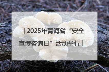 2025年青海省“安全宣传咨询日”活动举行