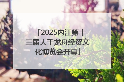 2025内江第十三届大千龙舟经贸文化博览会开幕