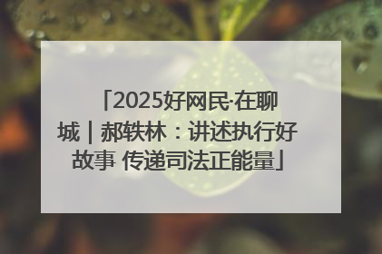 2025好网民·在聊城｜郝轶林：讲述执行好故事 传递司法正能量