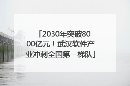 2030年突破8000亿元！武汉软件产业冲刺全国第一梯队