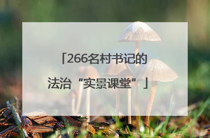 266名村书记的法治“实景课堂”