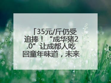 35元/斤仍受追捧！“成华猪2.0”让成都人吃回童年味道，未来或多种定价并行