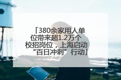 380余家用人单位带来超1.2万个校招岗位，上海启动“百日冲刺”行动