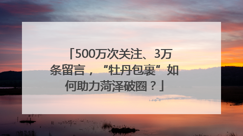 500万次关注、3万条留言，“牡丹包裹”如何助力菏泽破圈？