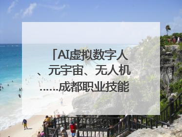 AI虚拟数字人、元宇宙、无人机……成都职业技能大赛启动