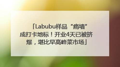 Labubu样品“痛墙”成打卡地标！开业4天已被挤爆，堪比早高峰菜市场